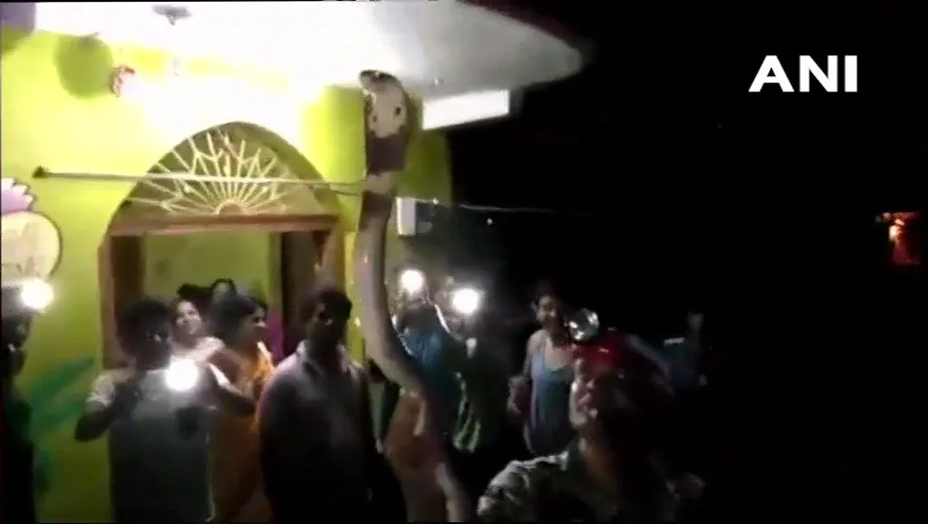 publive-image