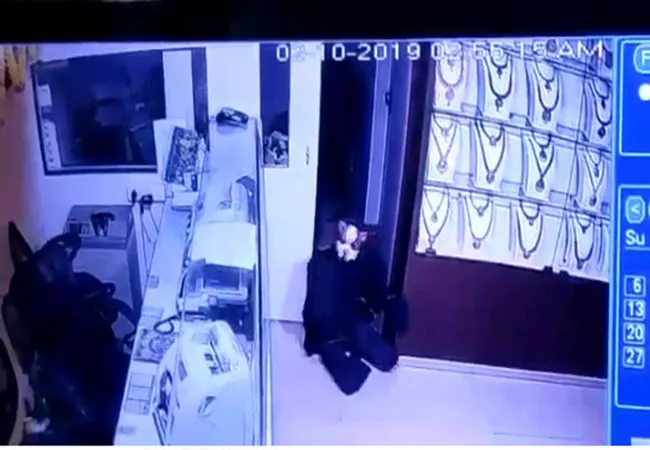 publive-image