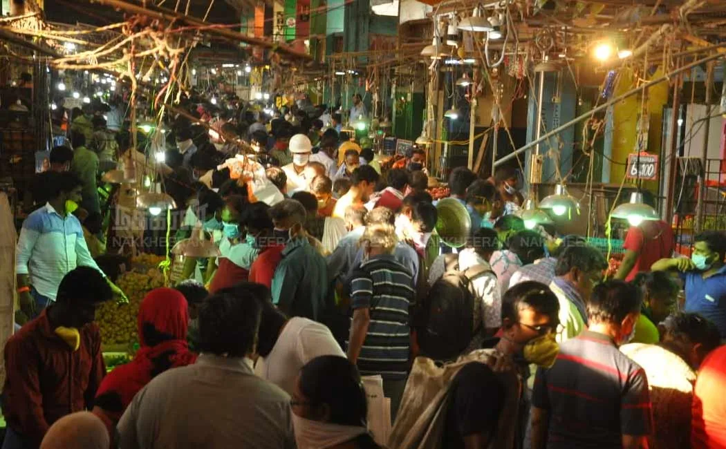 publive-image