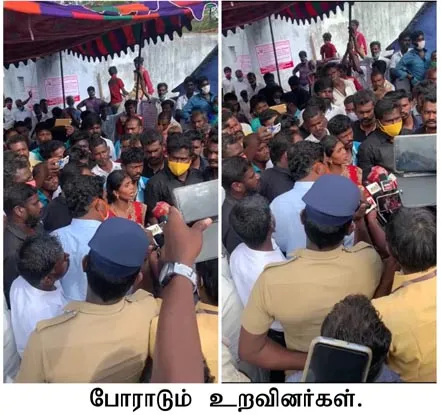 publive-image