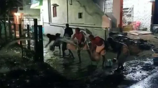 publive-image