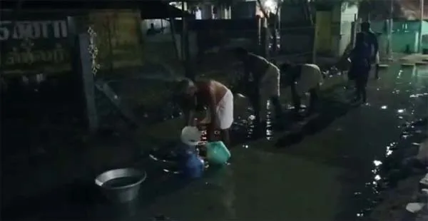 publive-image