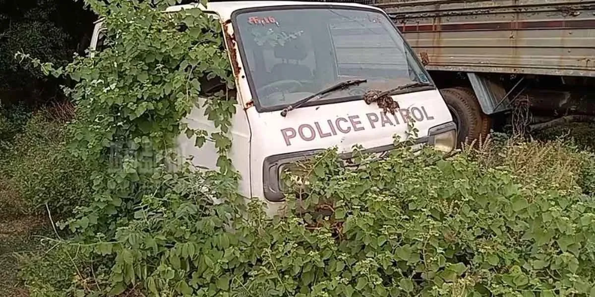 publive-image