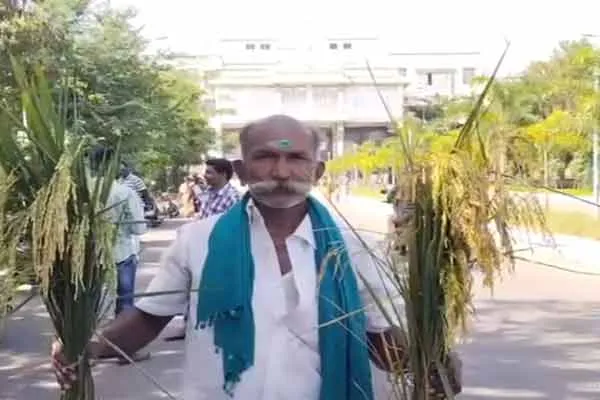 Karur collector office farmer paddy  issue