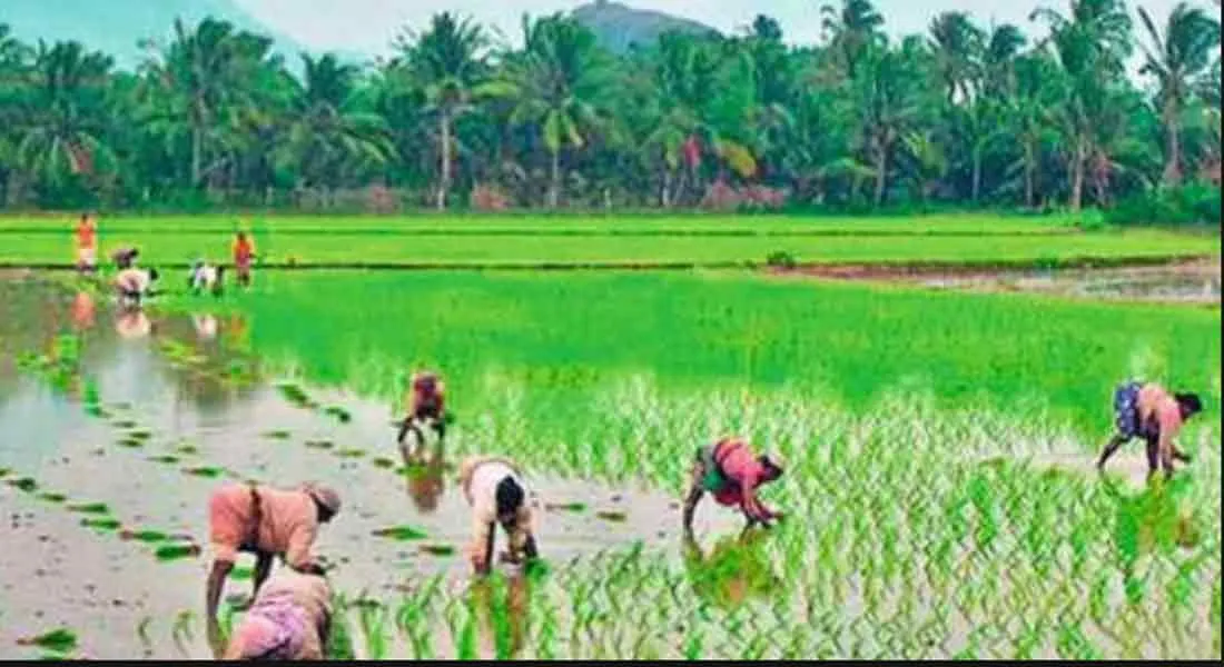  Decision on DMK consultation meeting