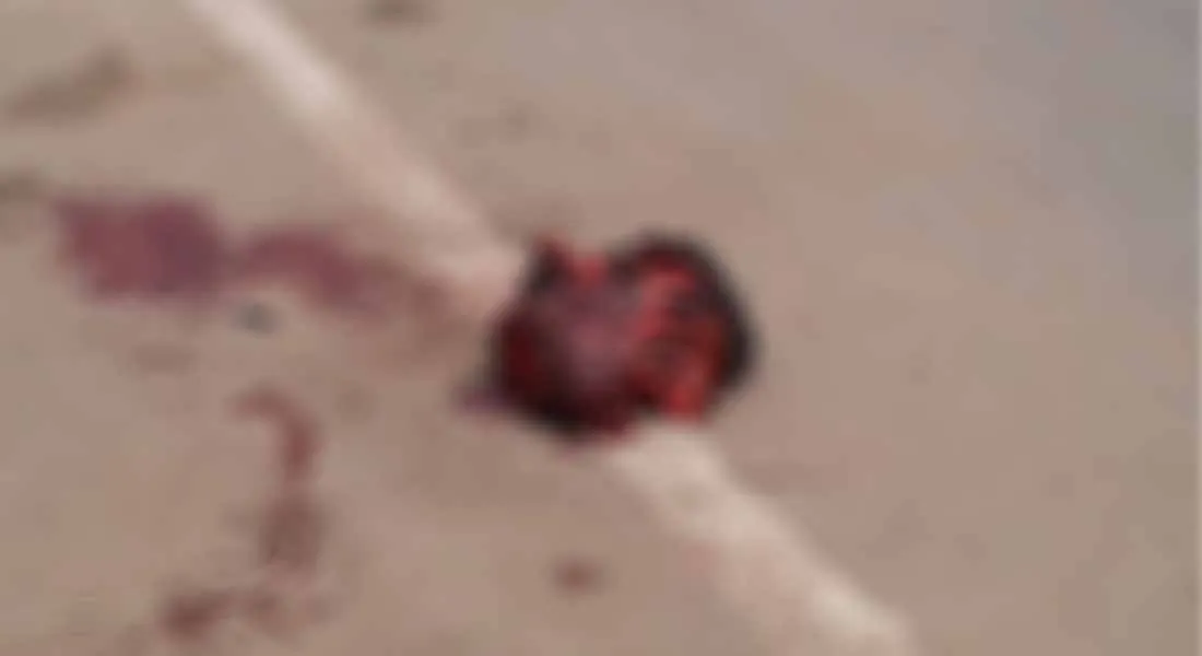 murder