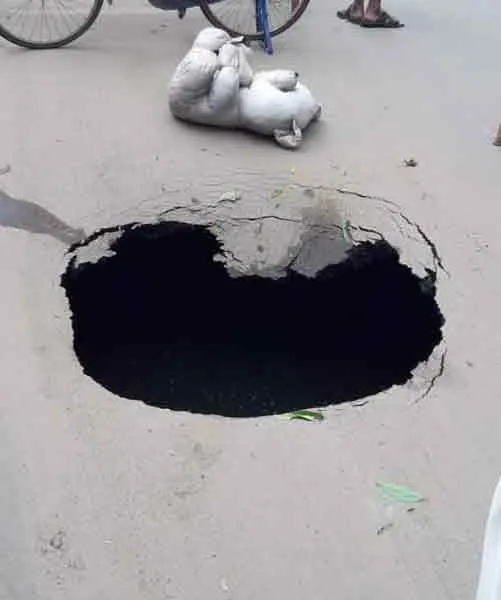 Mayiladuthurai people in panic!