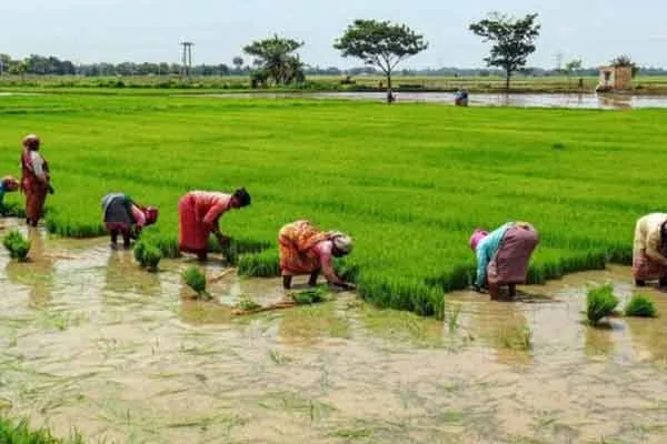 agriculture department new guidance to fertilizer centre 