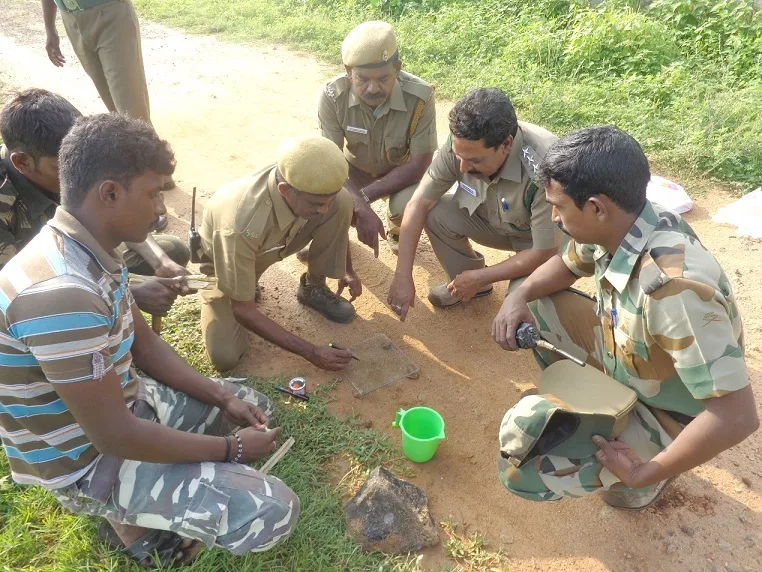 Start Survey about vultures  