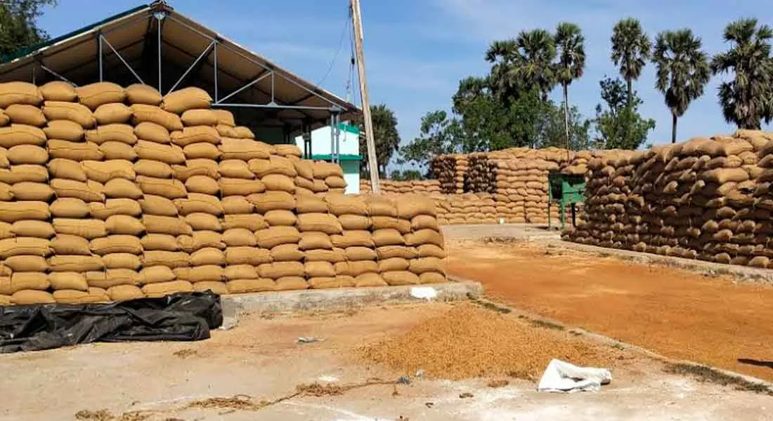  The government's negligence: Rice will be bring from external states