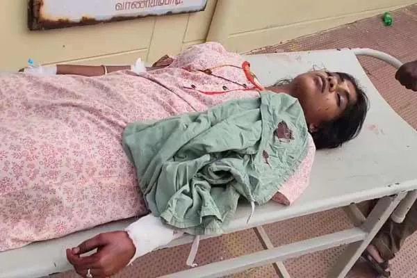 Husband stabs pregnant wife