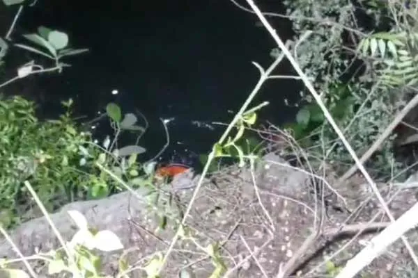 cow that fell into a well at night was rescued after several hours of struggle