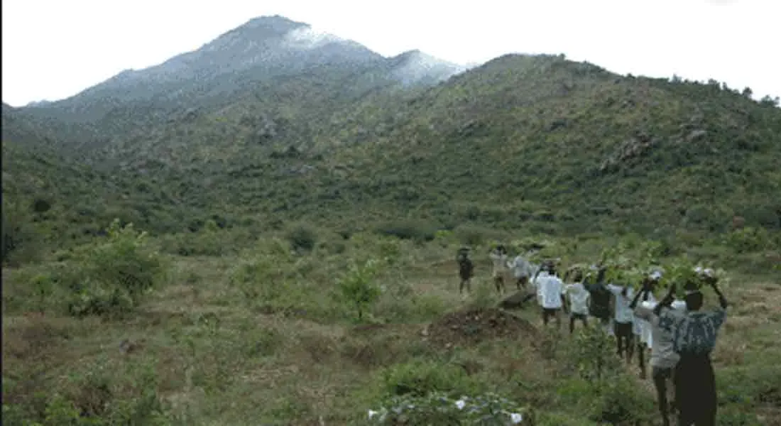 thiruvannamalai