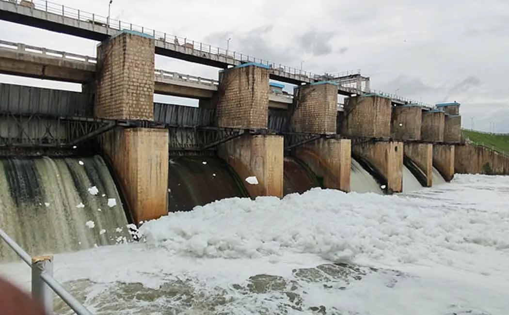 Farmers suffer as water is completely released for maintenance of the dam