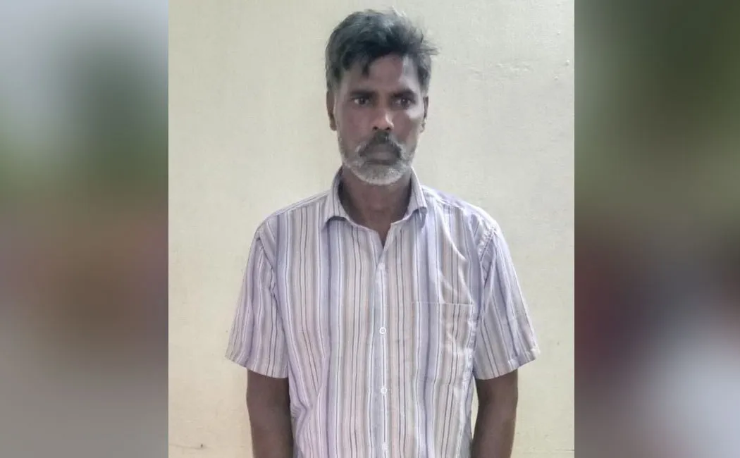 After the girl's passed away, the relatives objected to the grant of bail