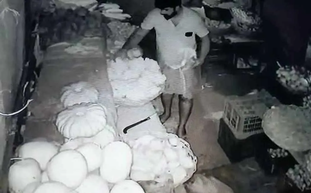  youth who stole vegetables and ran a fast food shop was arrested