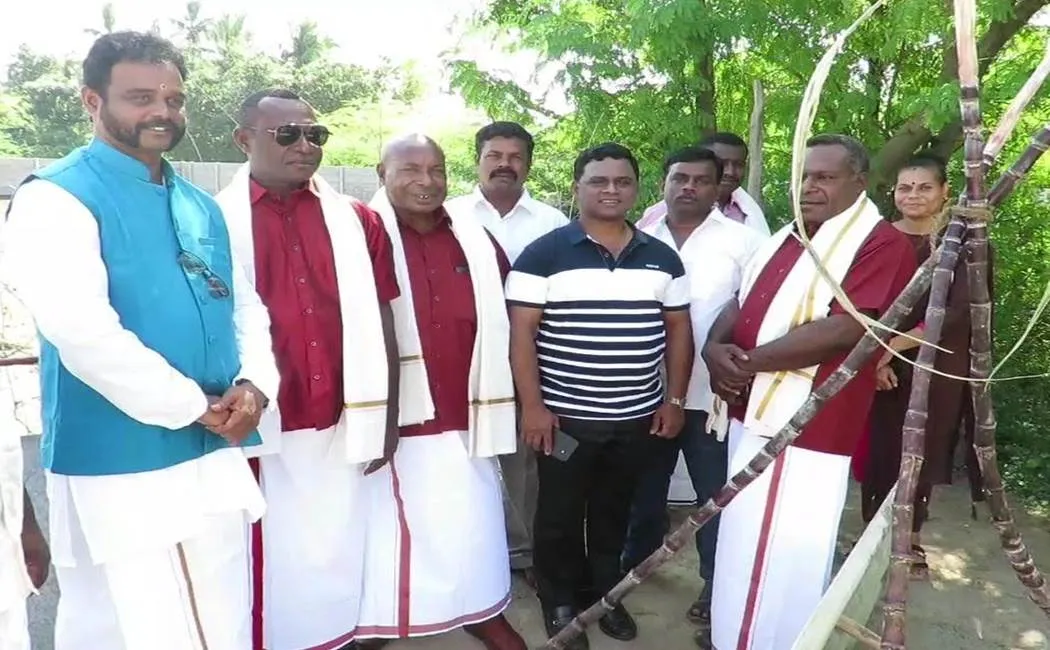 pongal