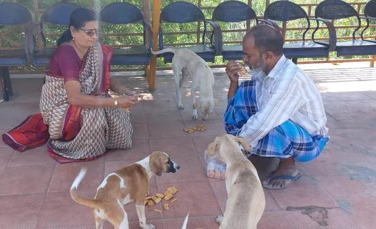 Corona virus Impact - street dog Hungry issue - person went up to former minister