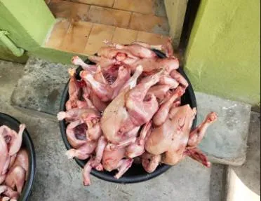 Thiruvannamalai - Meat Shop issue