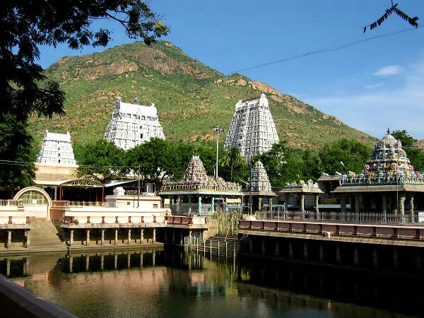 thiruvannamalai deepam festival live jaya tv not get permission cm office 