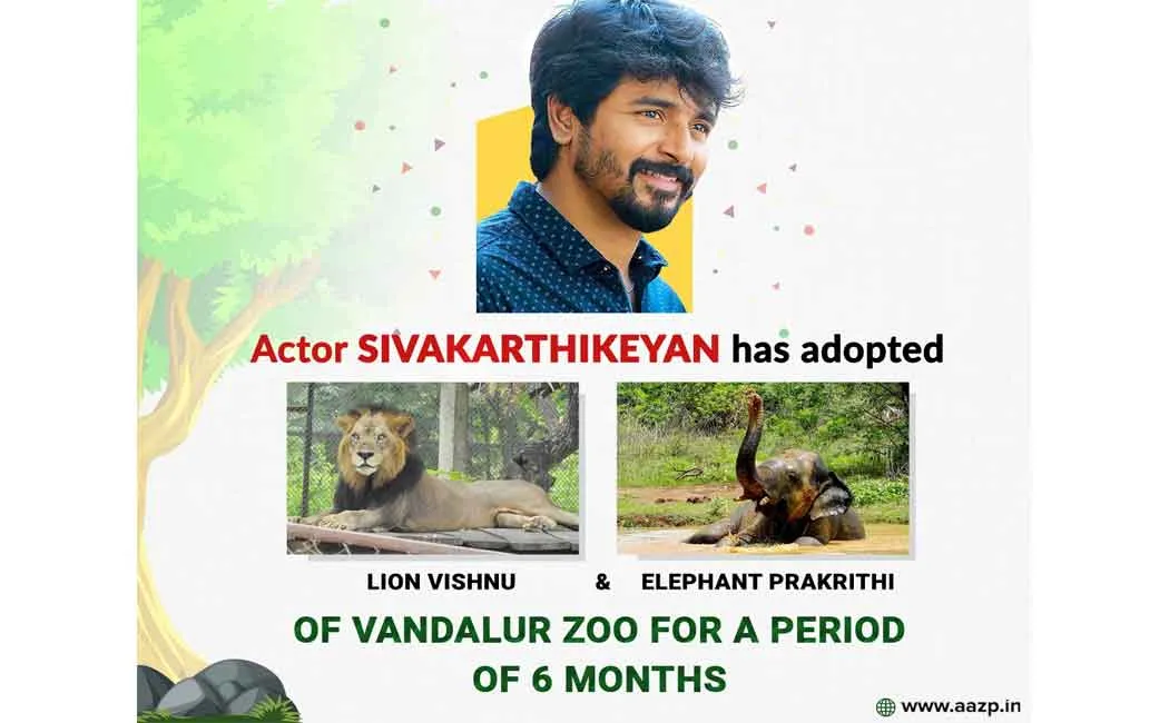 sivakarthikeyan