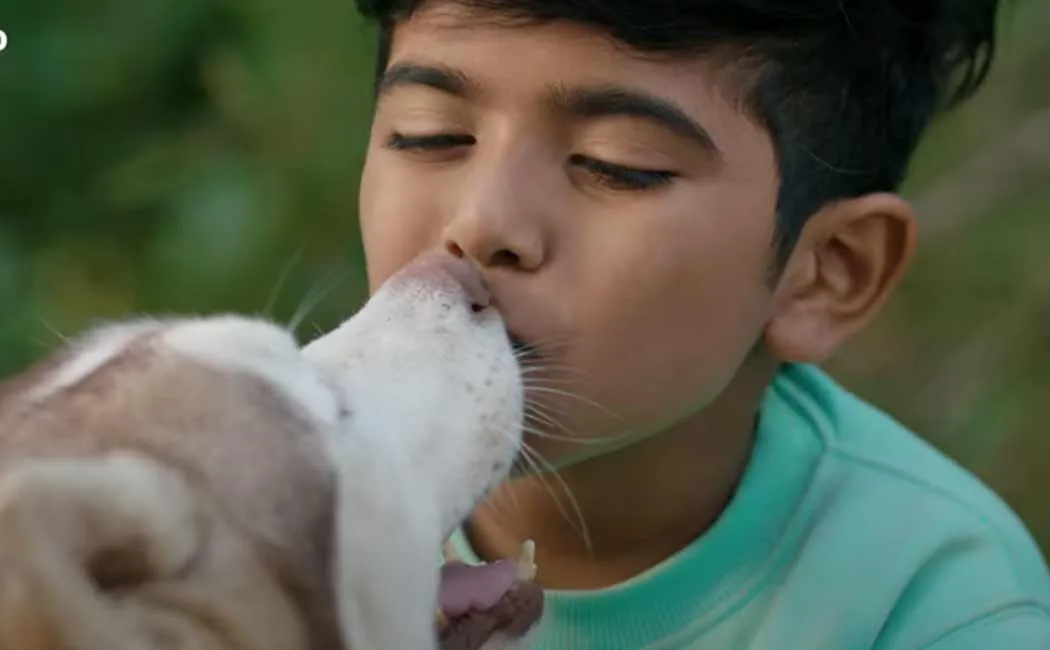 surya oh my dog movie teaser released