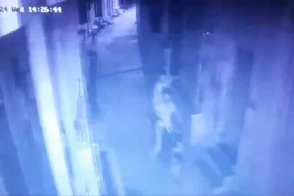  Vaniyambadi there is a continuous theft incident
