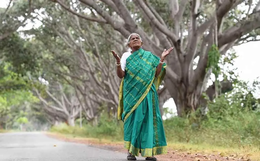 Thimmakka
