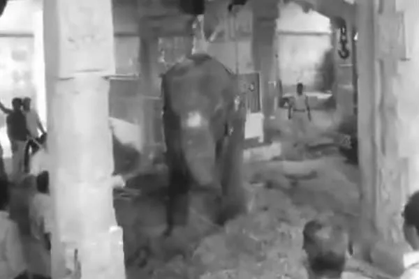 Nellaiappar temple elephant Gandhimathi passed away
