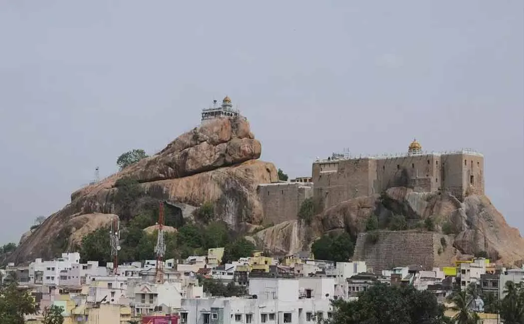 Thievery continues in Trichy; The police arrested the accused