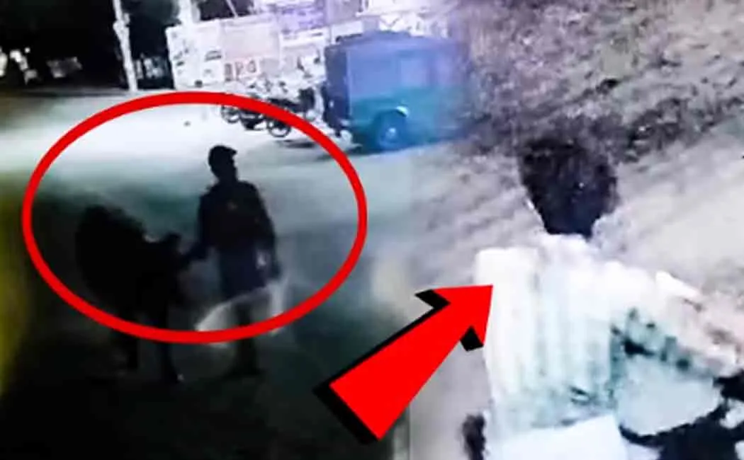 mysterious person who stole the grazing cattle