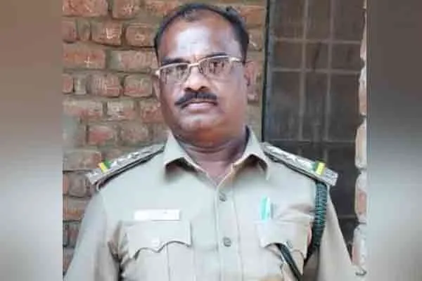 Forest officials taking bribes from loggers