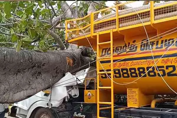 Two passed away in tree falls near Hosur