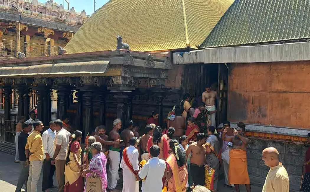 public  can worship at the Kanaka Sabha in  Nataraja Temple
