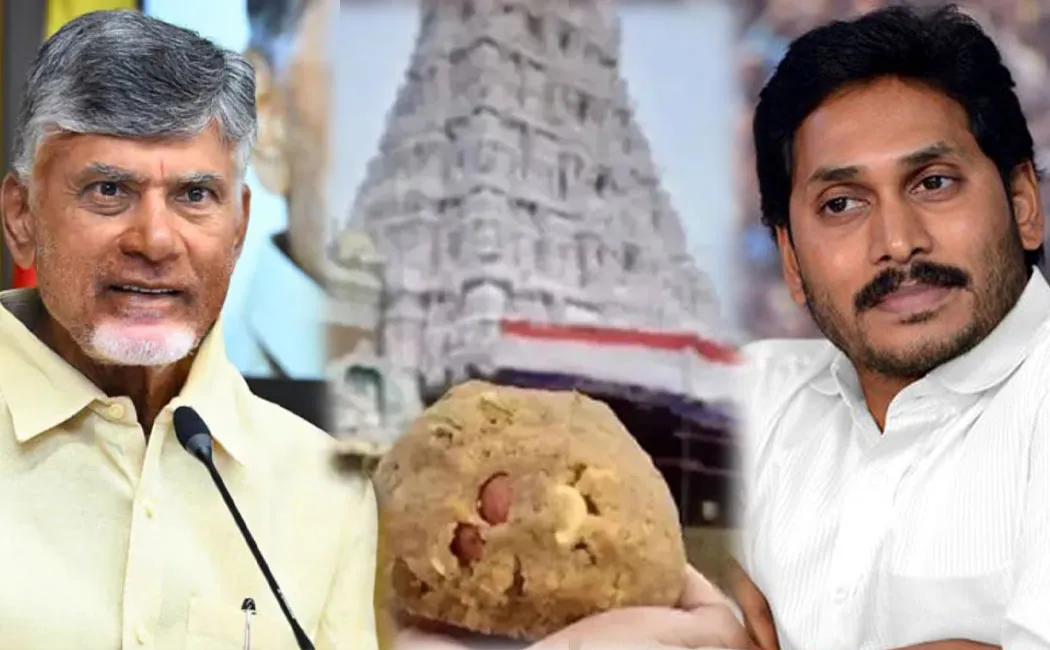 YSR Congress Rebuts Chandrababu Naidu Statement About Tirupati Laddu