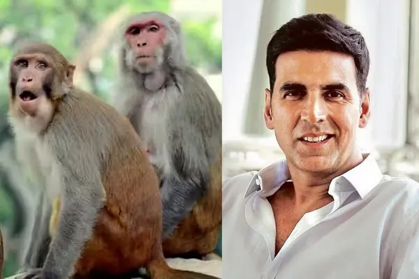 Akshay Kumar's unique Diwali gift to monkeys in Ayodhya