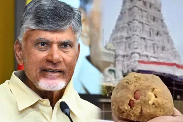Chandrababu Naidu alleges animal fat has been mixed in Tirupati laddu
