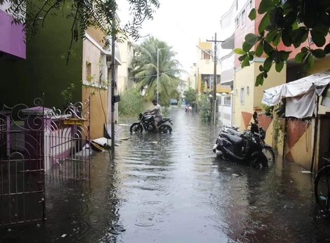  dengue spreading Pulutivakkam