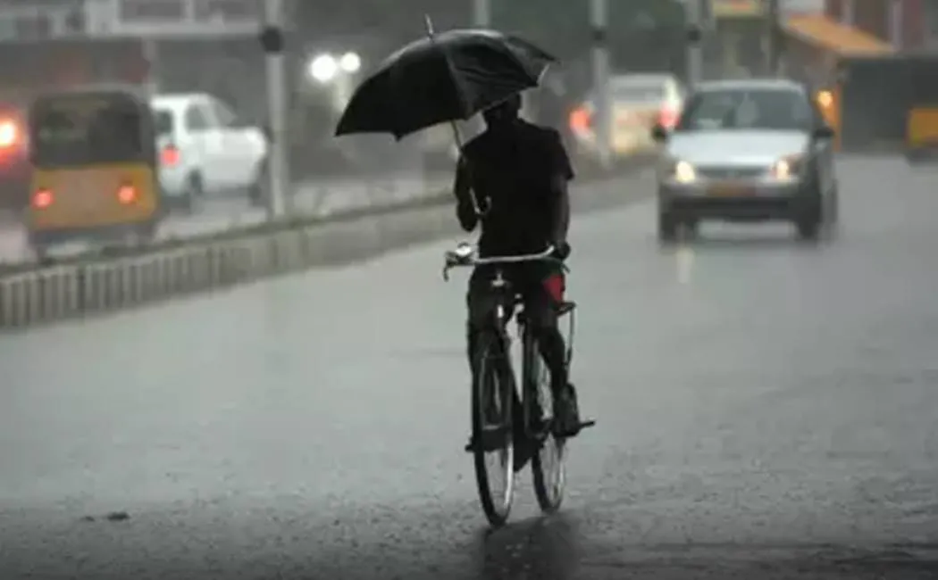 rain