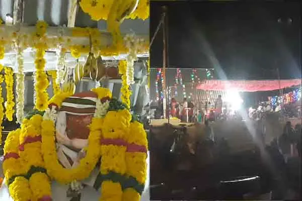 vellore anaikattu festival after twenty years ago ox given permission 