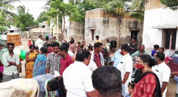 dairy cows - Sikkal Co-operative Society President - Nagapattinam