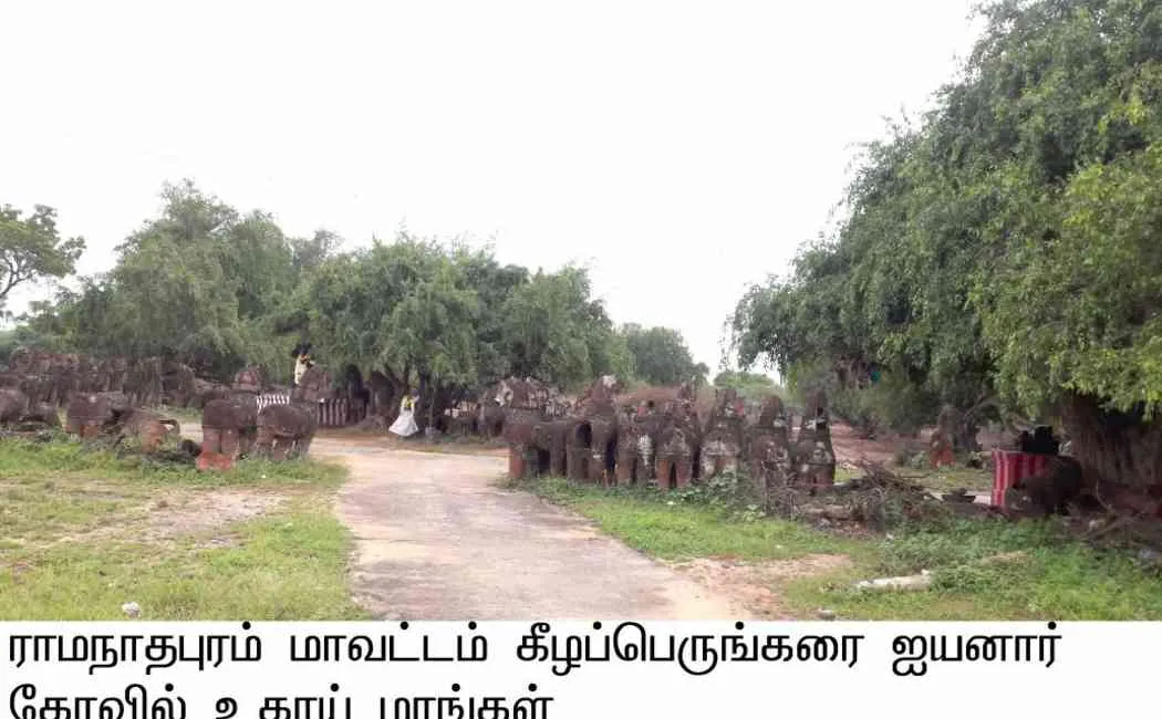 Kaapukadu