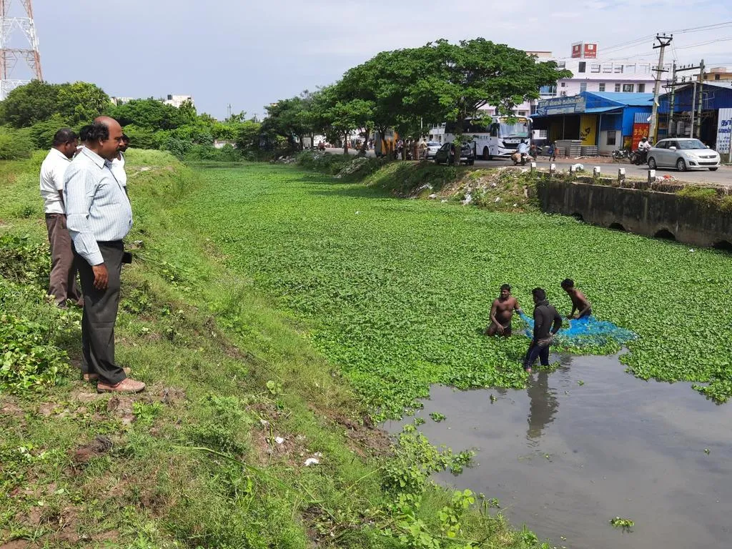 Public works in the process of removing Lotus