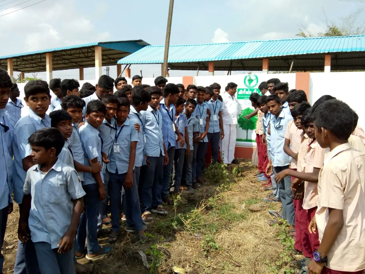 Students who sow trees in honor of the soldiers ...