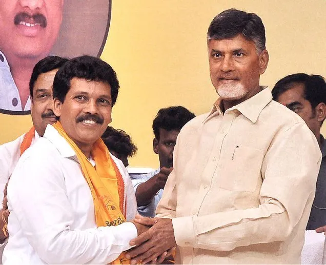 mla