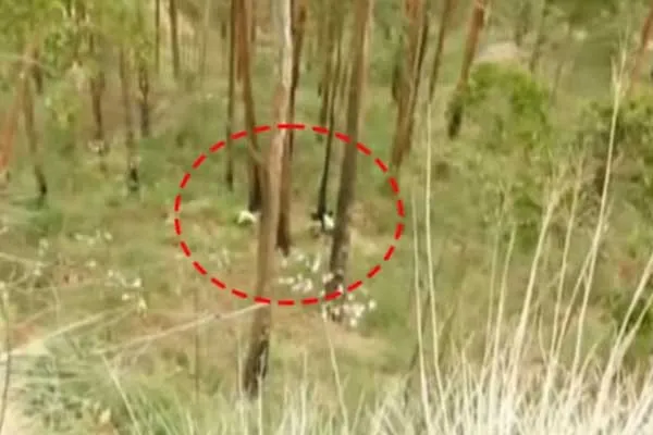 young man trapped in a 100-foot ditch in Kodaikanal in the style of the film 'Manjummel Boys'
