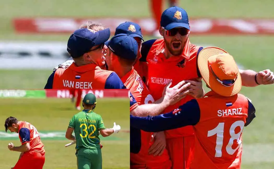 Breakthrough in World Cup; Netherlands beat South Africa; Pakistan and Bangladesh will battle it out in the semi-finals
