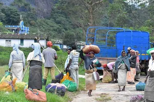 plight of the people of Manjolai Estate