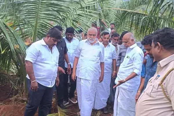 Minister I. Periyasamy says Steps will be taken to control elephants 