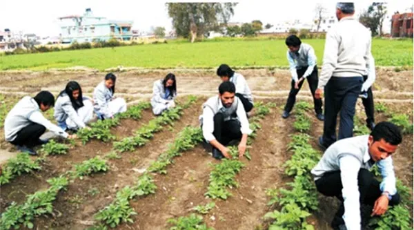 Agricultural courses suitable for all seasons